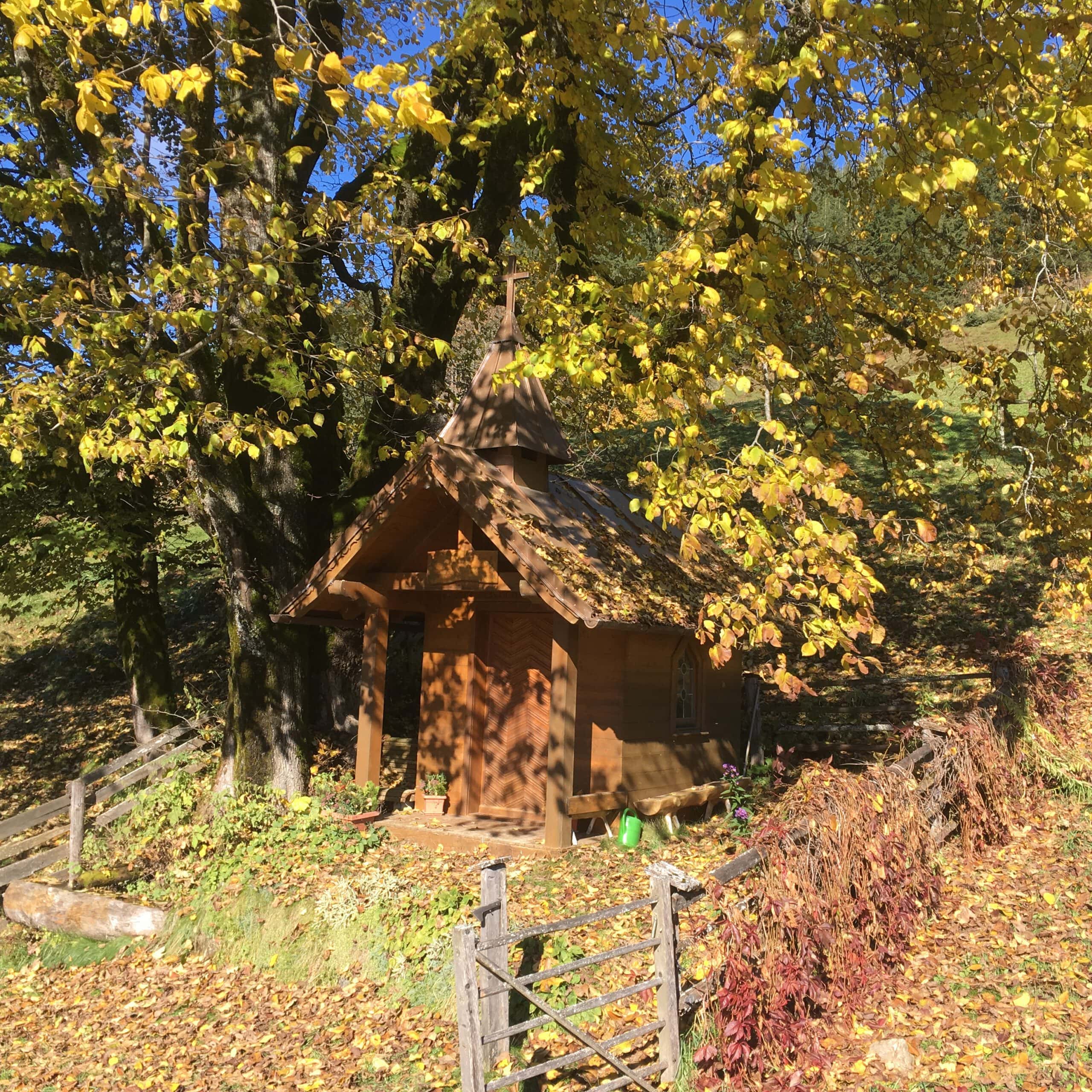 Der Mönchsberghof - Ferienwohnungen in Kleinarl am Bauernhof